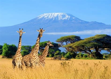 Viaje kenia PenalbaWeb.com