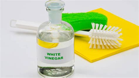 Vinagre blanco para limpiar PenalbaWeb.com