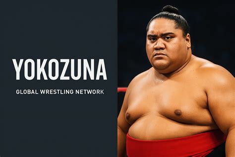Vinilos yokozuna PenalbaWeb.com