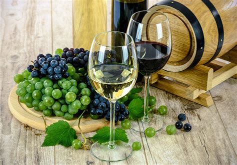 Vino PenalbaWeb.com