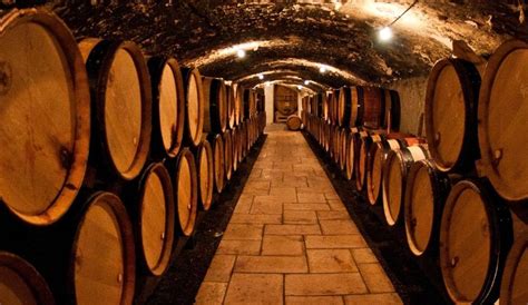 Vinos antiguos PenalbaWeb.com