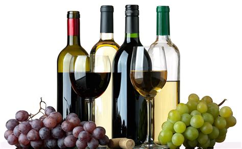 Vinos botellas PenalbaWeb.com