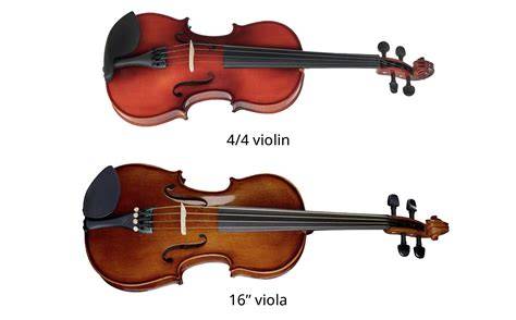 Viola 4 PenalbaWeb.com