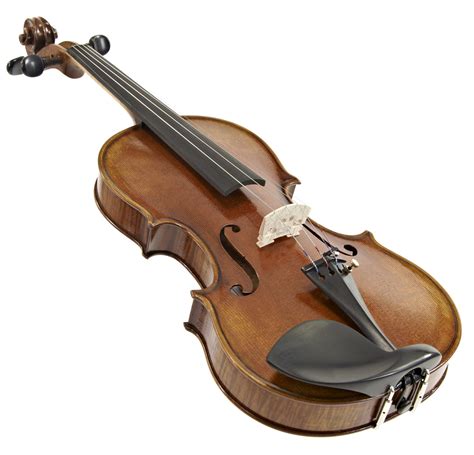 Violin profesional PenalbaWeb.com