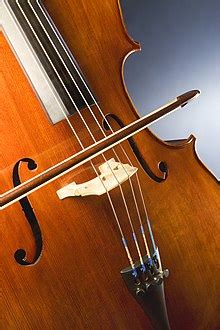 Violoncello PenalbaWeb.com