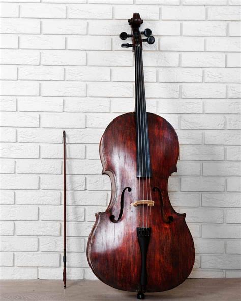 Violonchelo cello PenalbaWeb.com