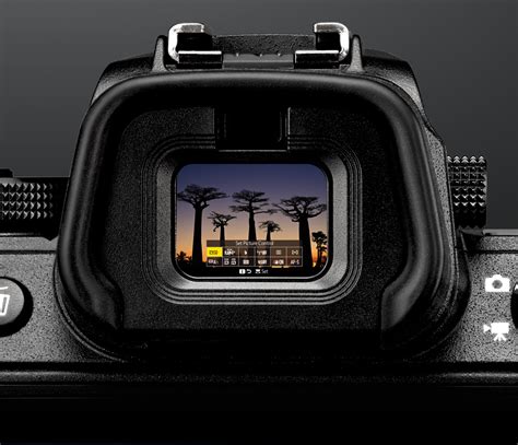 Visor camara nikon PenalbaWeb.com