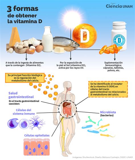 Vitamina d PenalbaWeb.com
