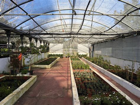 Vivero PenalbaWeb.com