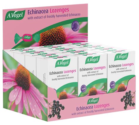 Vogel echinacea PenalbaWeb.com