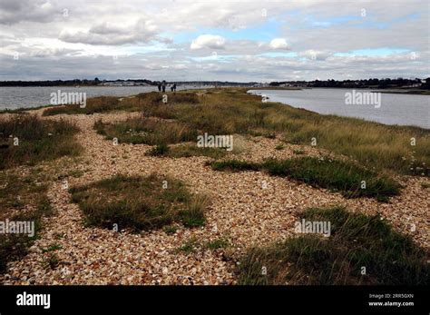 Warsash PenalbaWeb.com