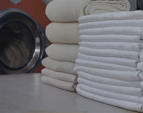 Wash dry PenalbaWeb.com