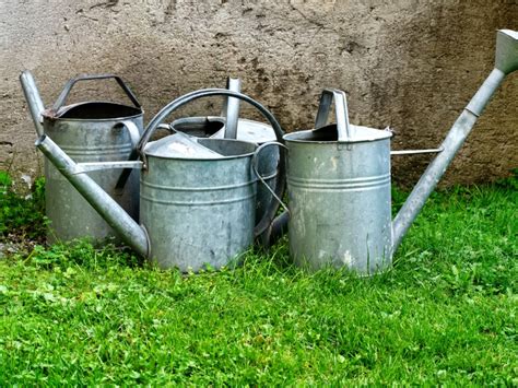 Watering can PenalbaWeb.com