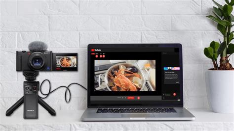 Webcam sony PenalbaWeb.com