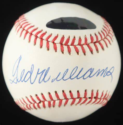Williams signed PenalbaWeb.com