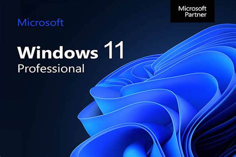 Windows pro PenalbaWeb.com