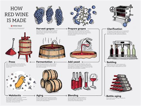 Wine making PenalbaWeb.com