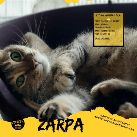 Zarpa PenalbaWeb.com