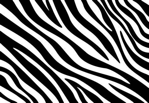 Zebra print PenalbaWeb.com